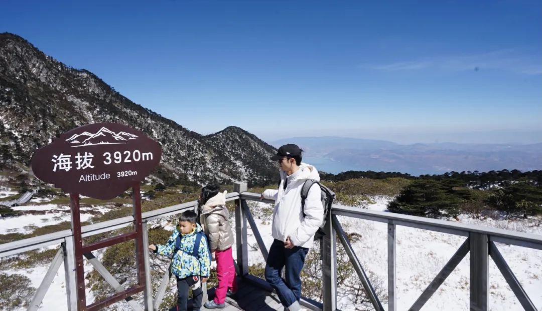 冬季洱海看海鸥最佳地方,这个冬天洱海该有多浪漫
