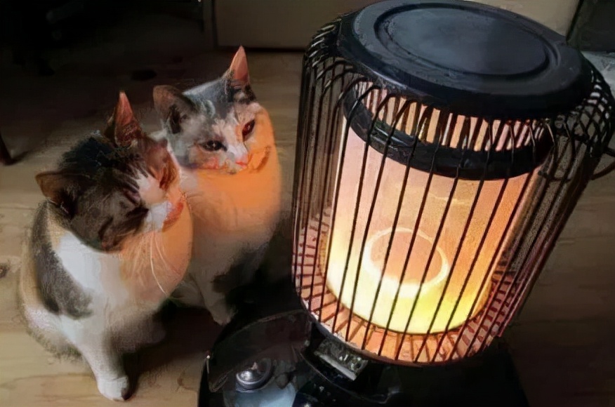 重庆夏天哪里避暑最好,重庆夏天与冬天对比