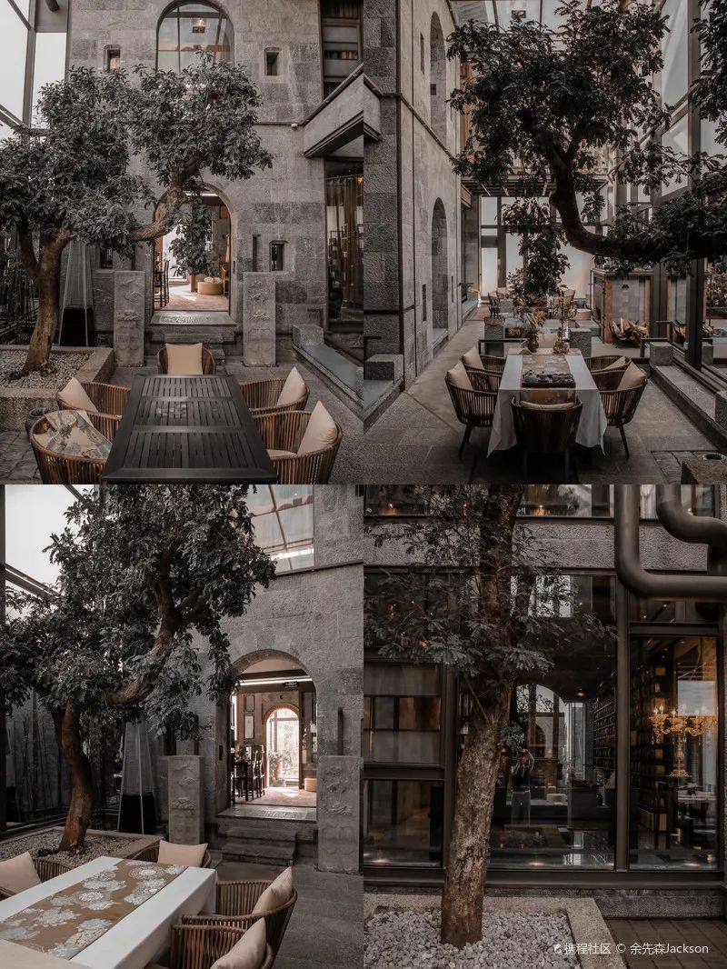 拜托！喝一杯价值8000多万的古树茶，住雪山博物馆酒店，超酷欸