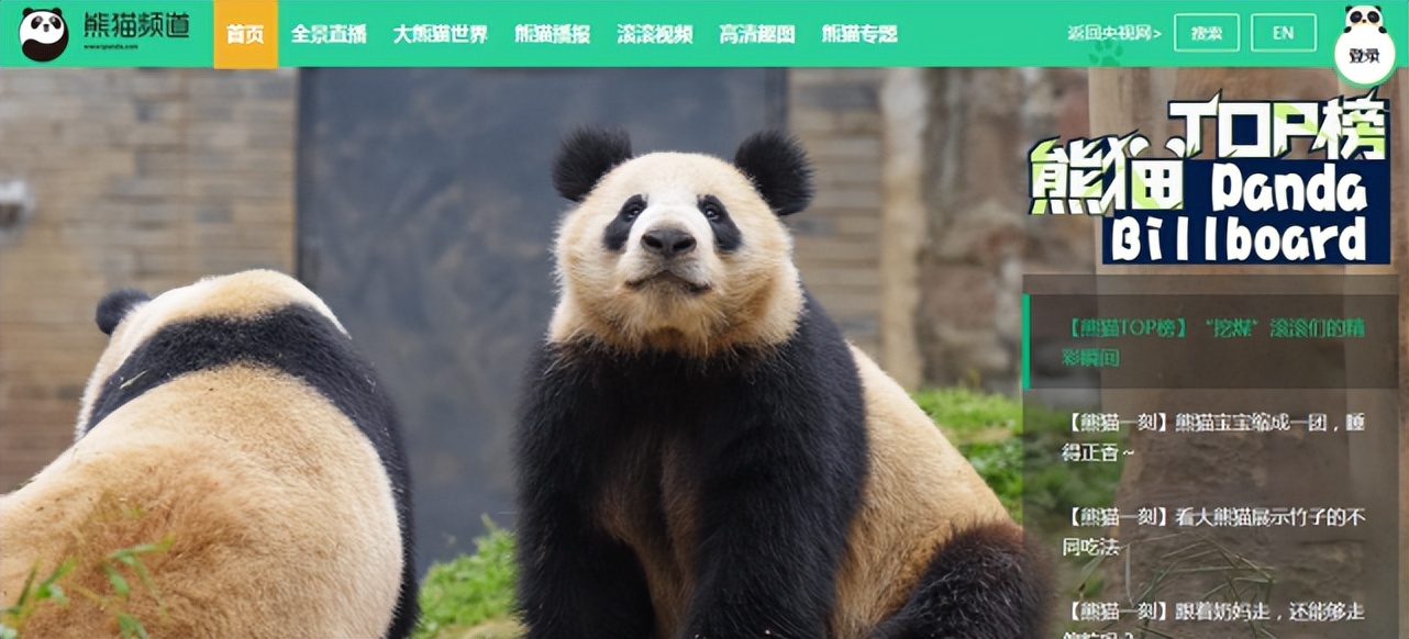 相见恨晚网站,10个优质网站推荐相见恨晚