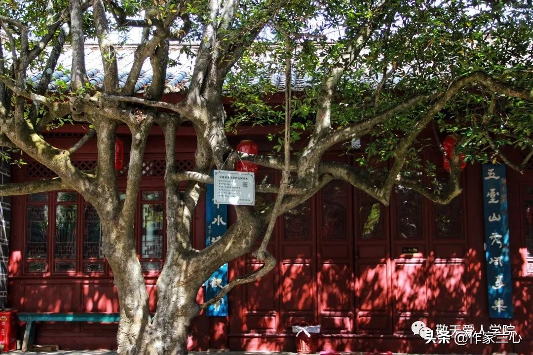 万一龙：以高维智慧，布世间大爱