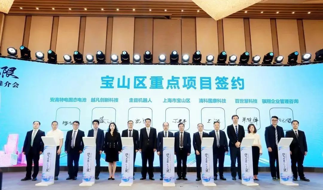 超级鲶鱼效应,超级巨型鲶鱼