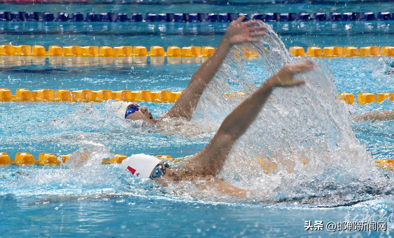 【聚焦河北省第十六届运动会】“浩沙FAFA”杯青少年游泳锦标赛开赛