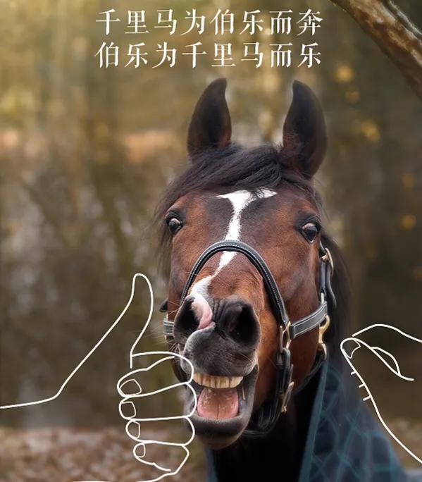 足球注册人口排行,中国足球注册人口真的这么少么