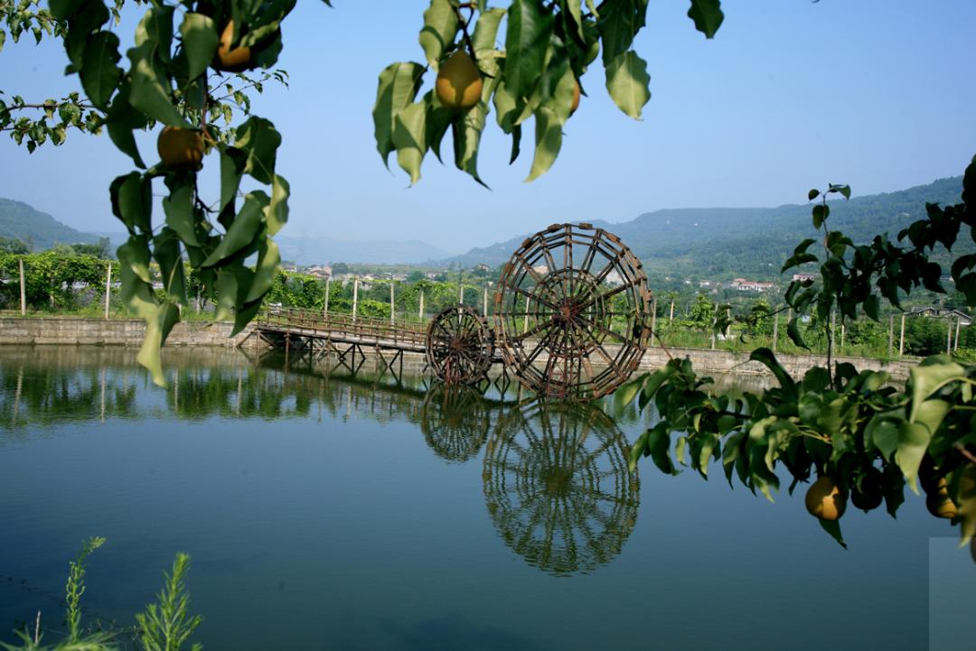 广元旅游景点免票,2020年广元哪些景区免门票