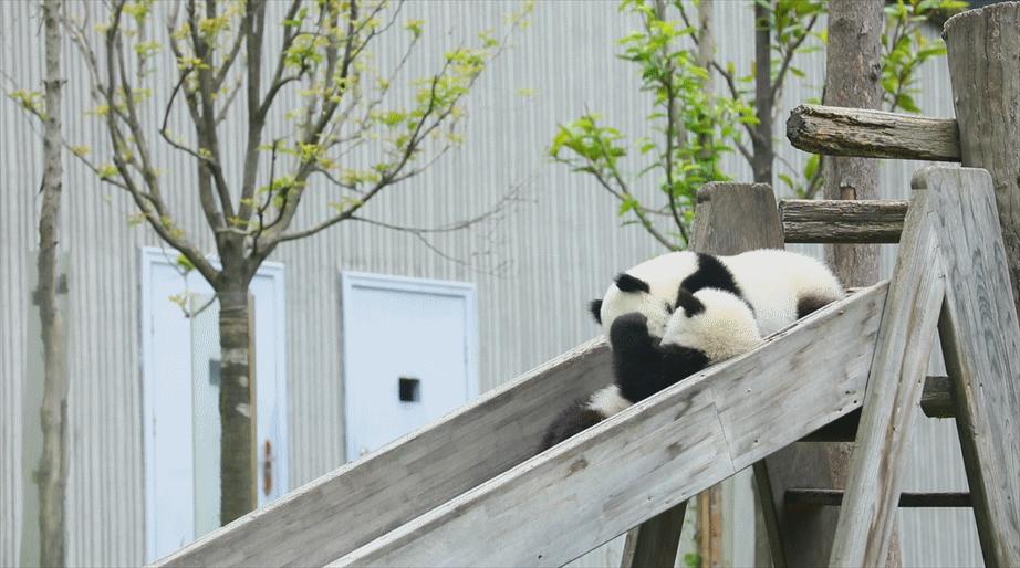 6月7月去哪旅游最好,6月旅游适合去哪玩路线规划