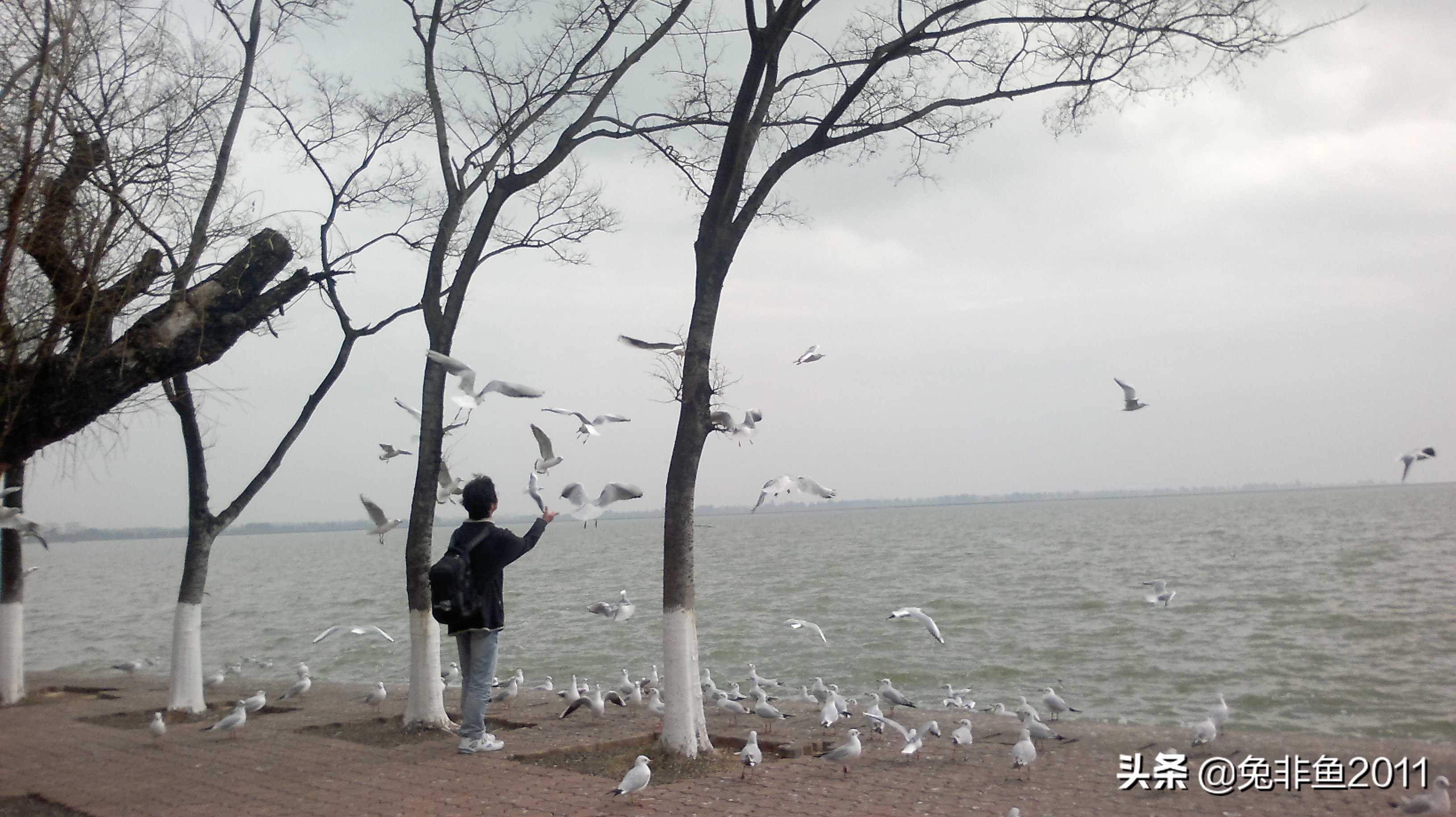 云南腾冲滇峰之旅,云南瑞丽中缅边境一日游