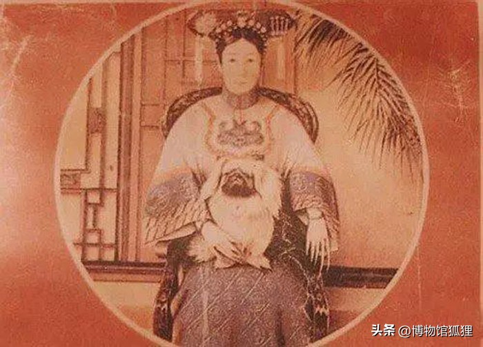 慈禧赠给英女王一条小狗？相反，这是英军从圆明园死者身边抢来的