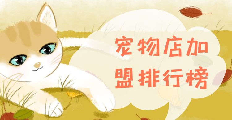 宠物店加盟创业好项目,宠物店加盟快速回本