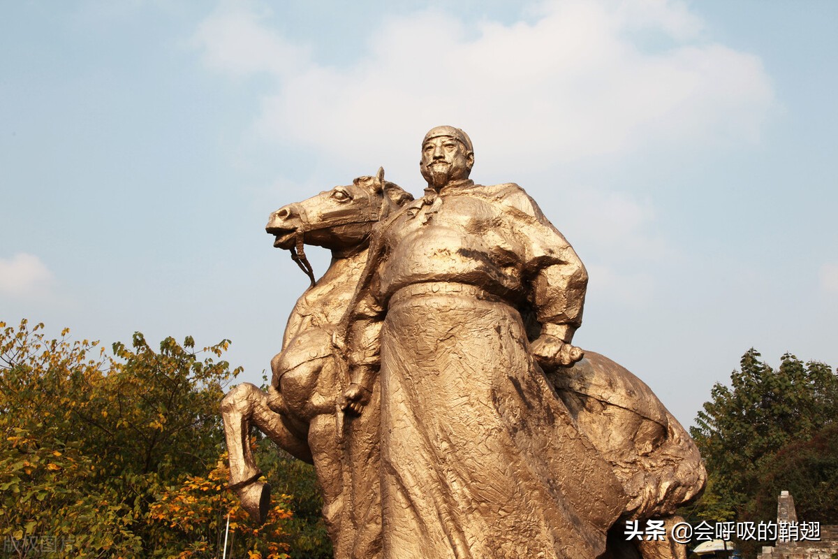 星天牛喜欢苦楝树,星天牛苦楝树