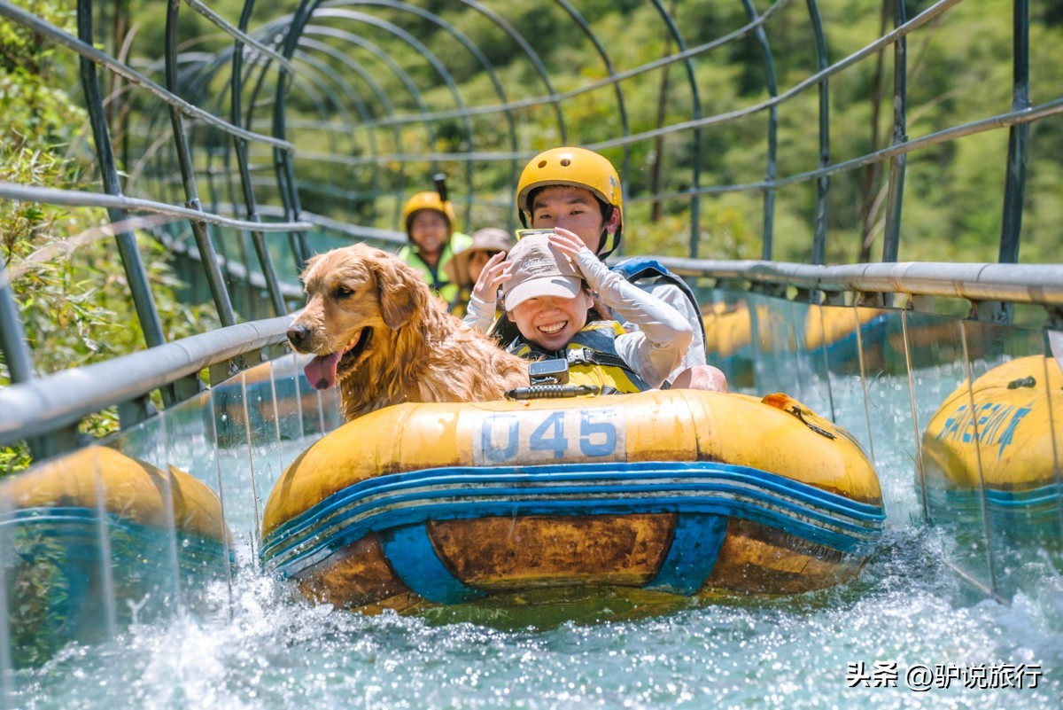 安吉宝藏酒店,安吉绿地铂骊酒店滑雪