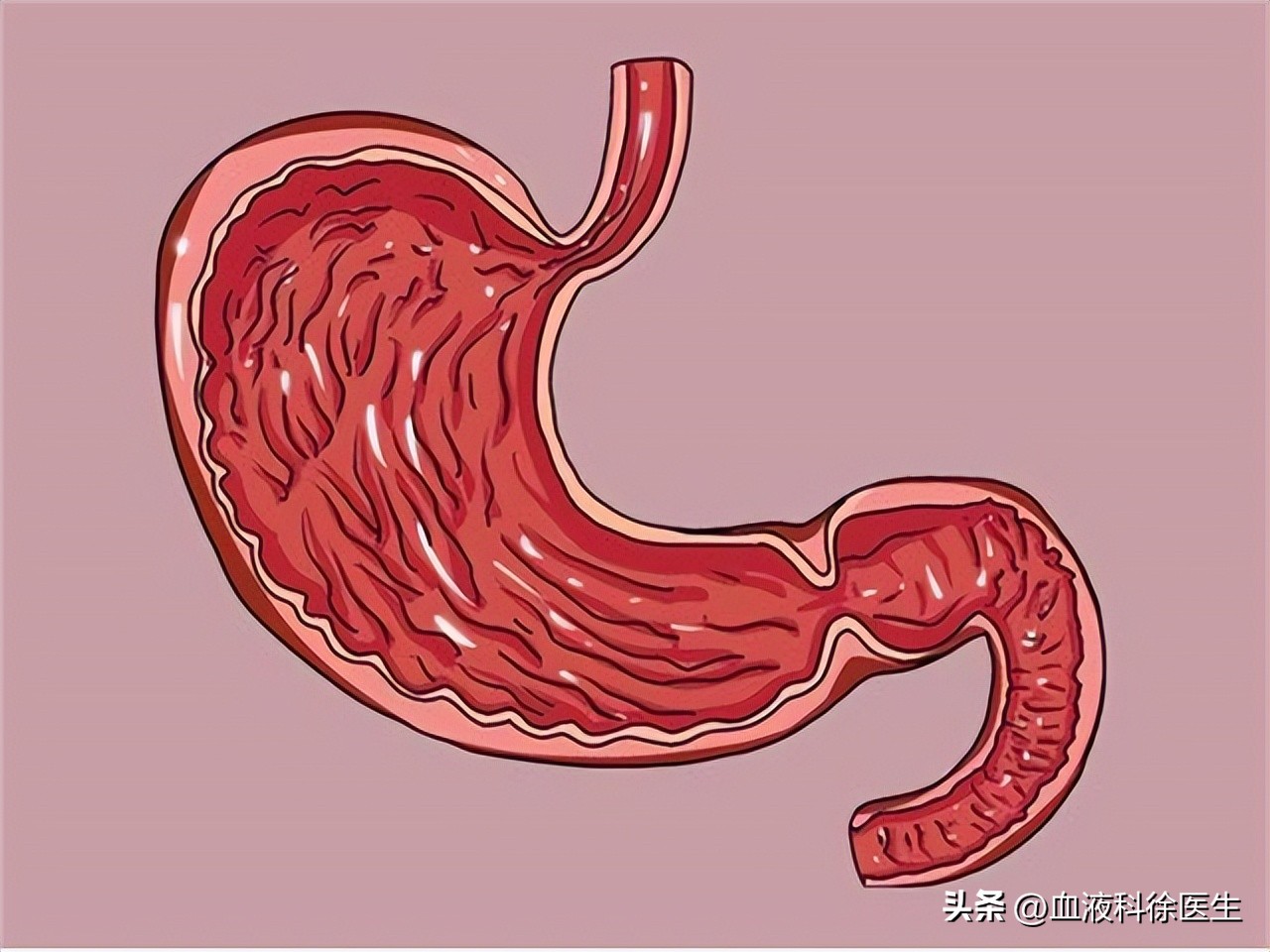 中老年补充哪个牌子的叶酸适合,中老年人如何补充叶酸每次吃多少