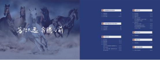 产业园区招商引资突破点,政府产业园区招商新思维