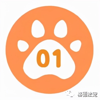深圳电子犬证怎么办理,深圳在哪里办理养犬登记