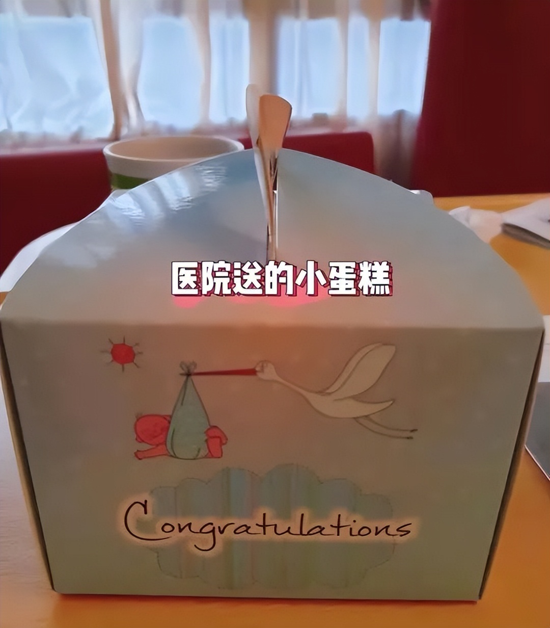 新加坡生娃操作流程,国外生娃真实经历