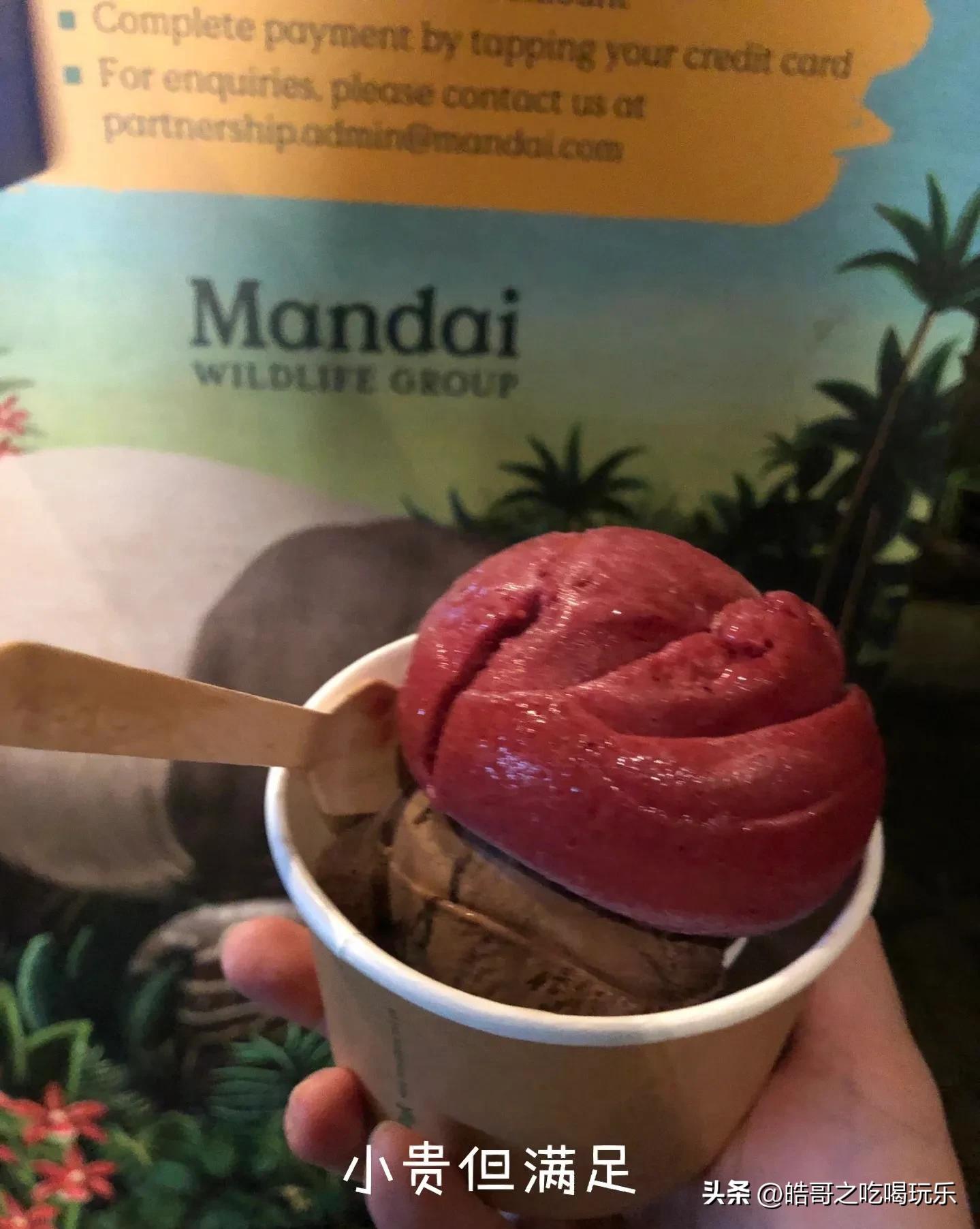 新加坡马来西亚穷游攻略,穷游攻略新加坡点滴时光