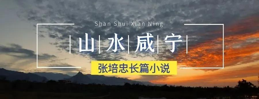 阅读量10万的悟空问答,悟空问答一篇10万阅读量