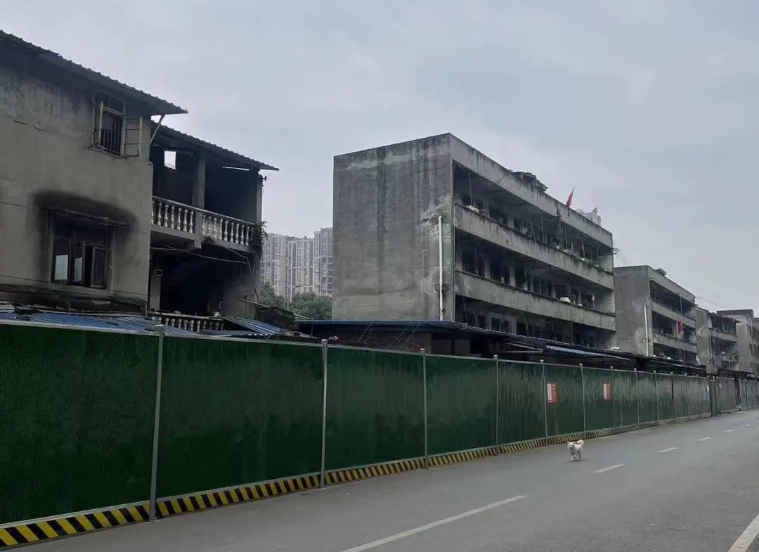 成都十大民生领域专项整治,成都市清理违规建设