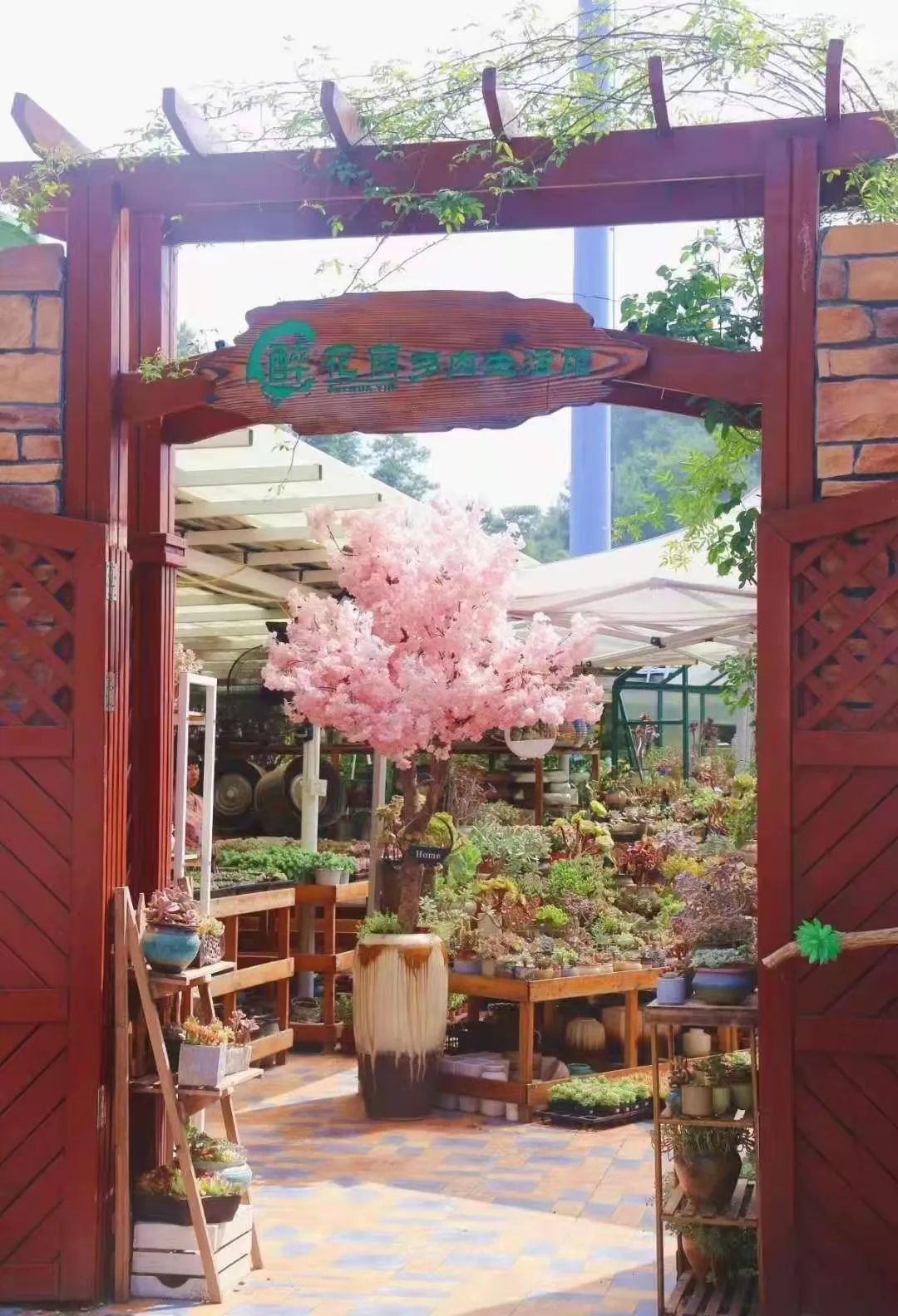 湖南“花二代”开园艺中心，线上一天卖花12万盆，年营业额超2000万元