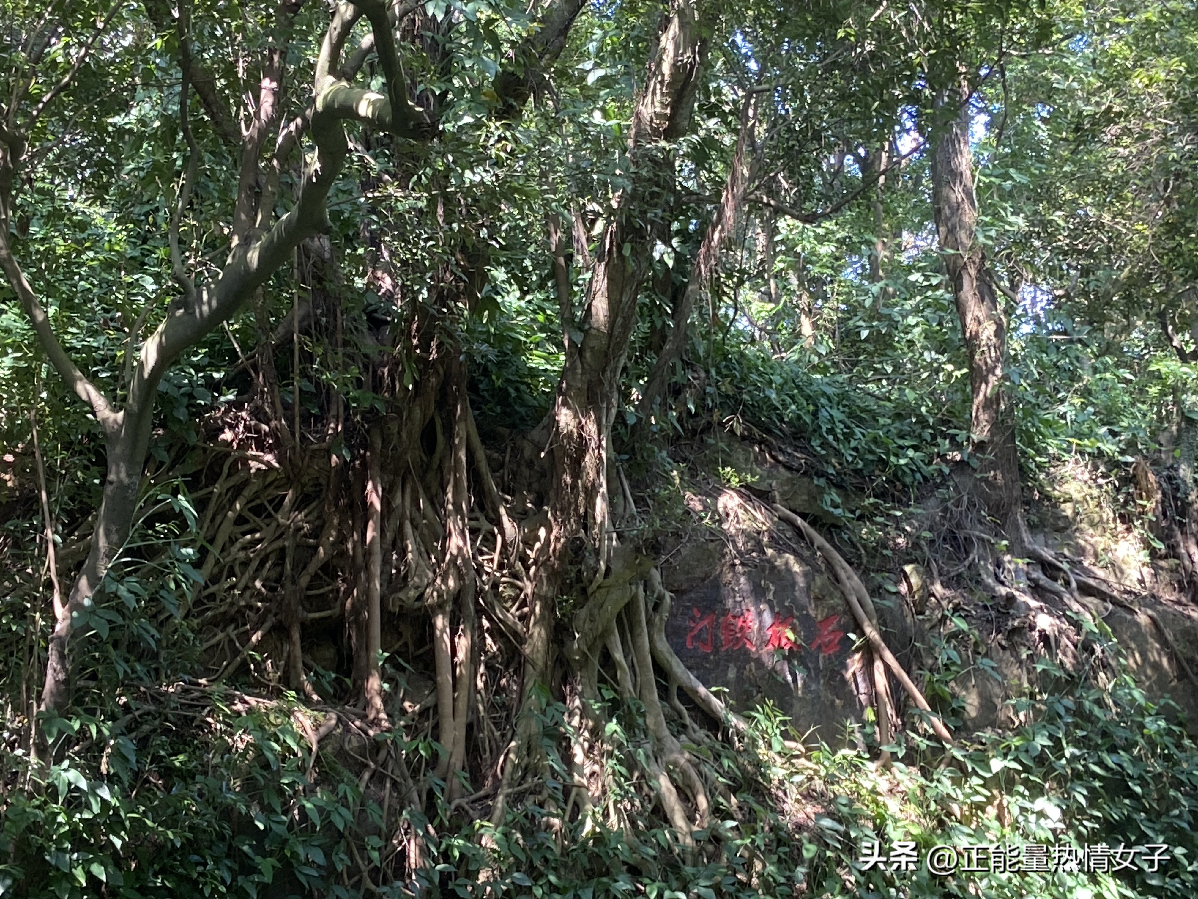 黄飞鸿故居一日游心得,黄飞鸿故里游玩攻略