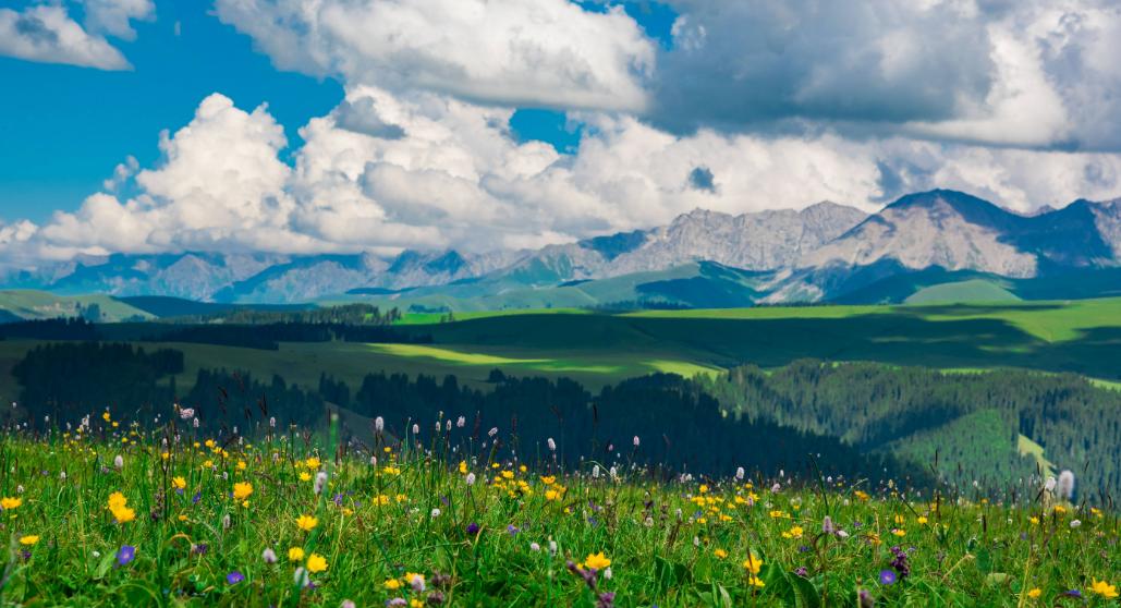 最美公路独库通车仪式,官宣独库公路2021年开通时间