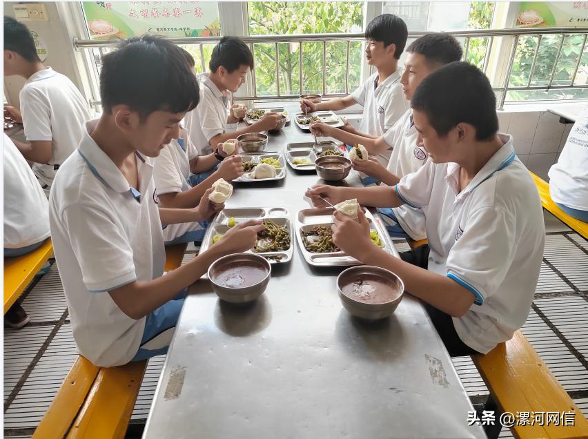 漯河学校不准提前开学,漯河教育最新通知