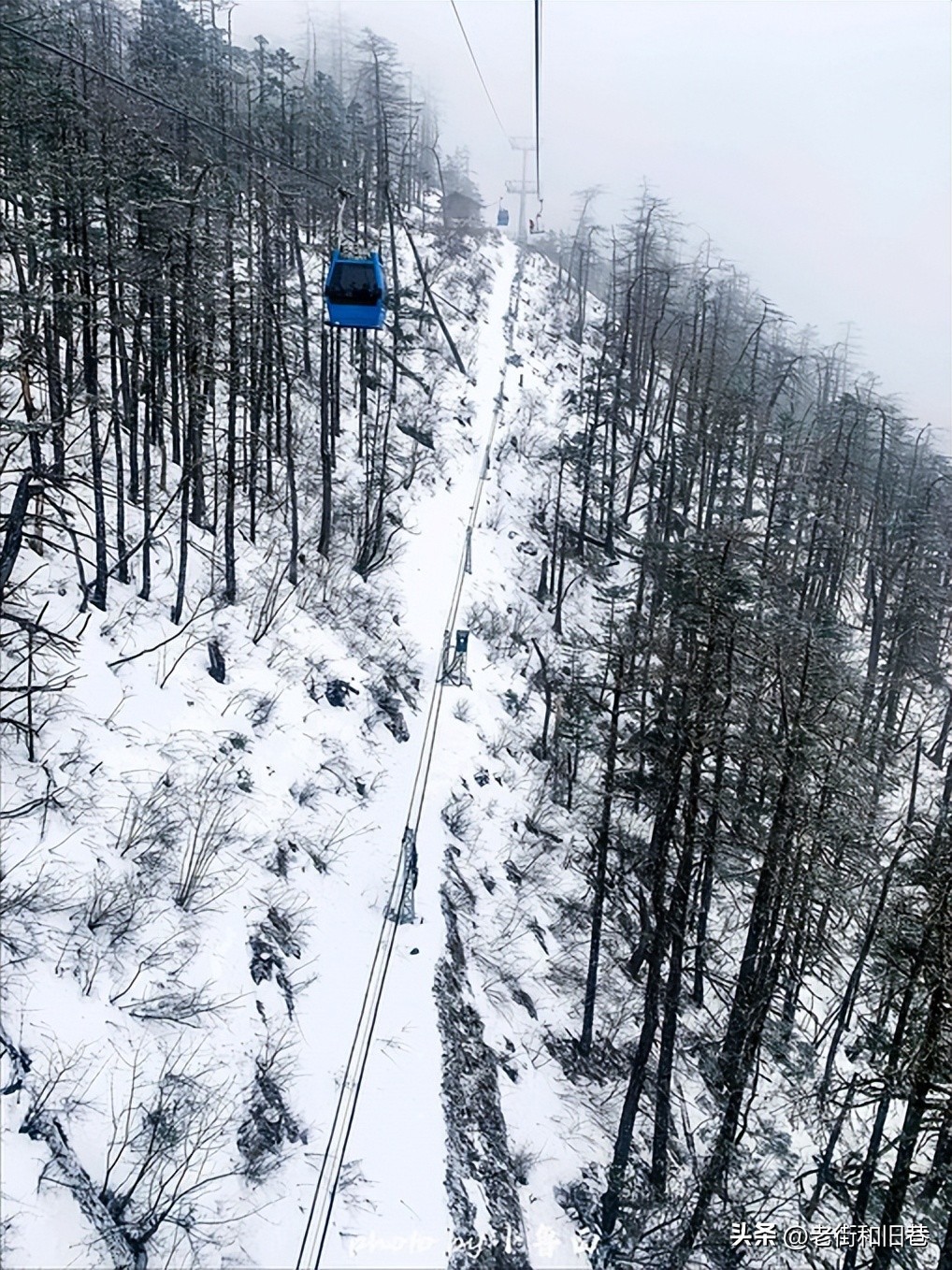 玩转云南自由行,昆明大理丽江6天5晚游多少钱