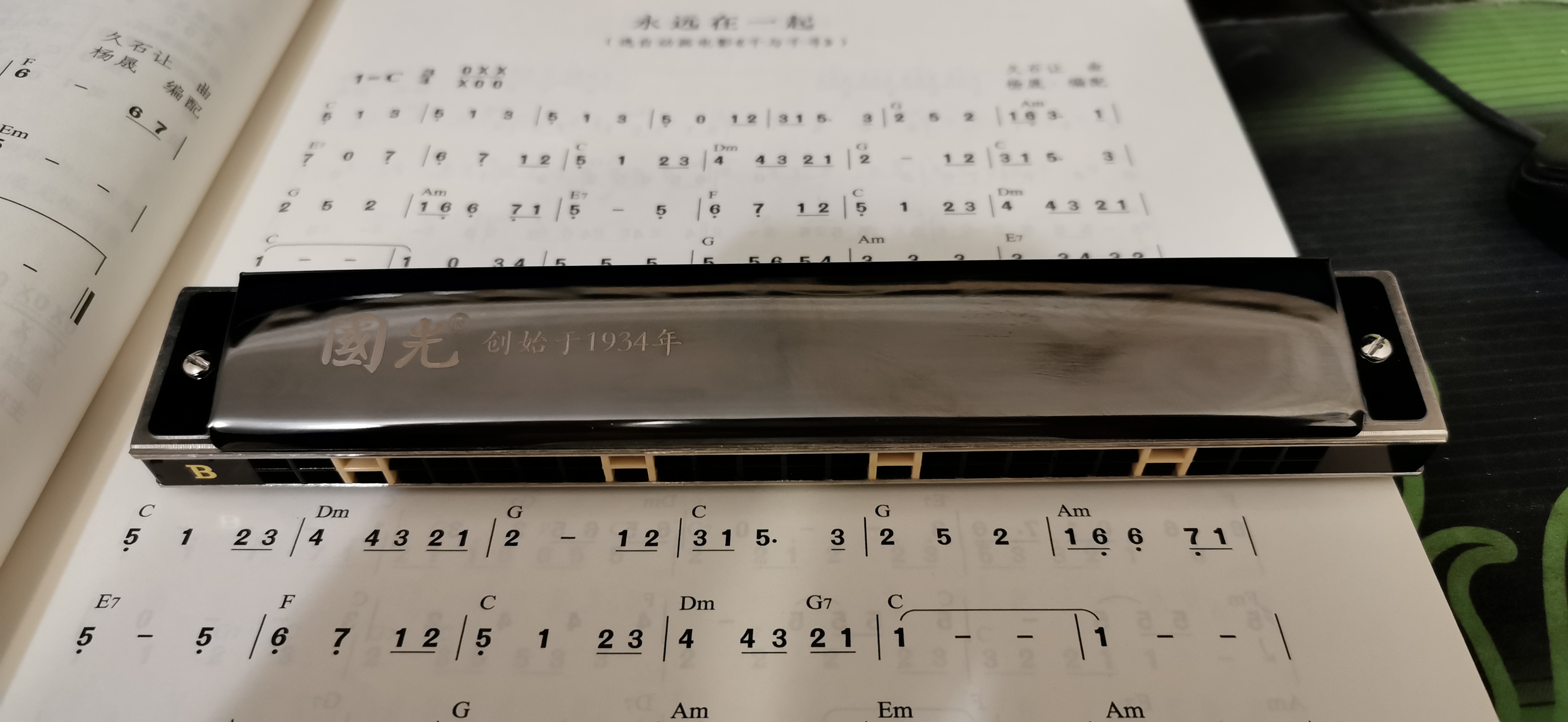 铃木口琴,铃木口琴经典款