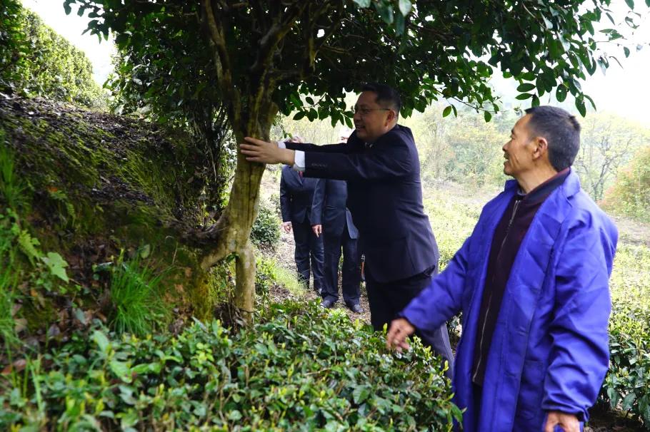 4月18日8点10分，我们相约云上五峰