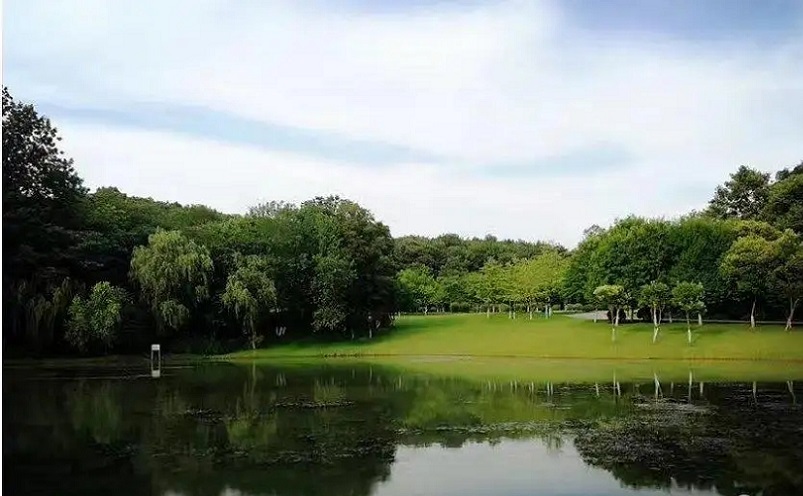 南京免费景点排行榜前十名,南京旅游年卡免费景点一览表