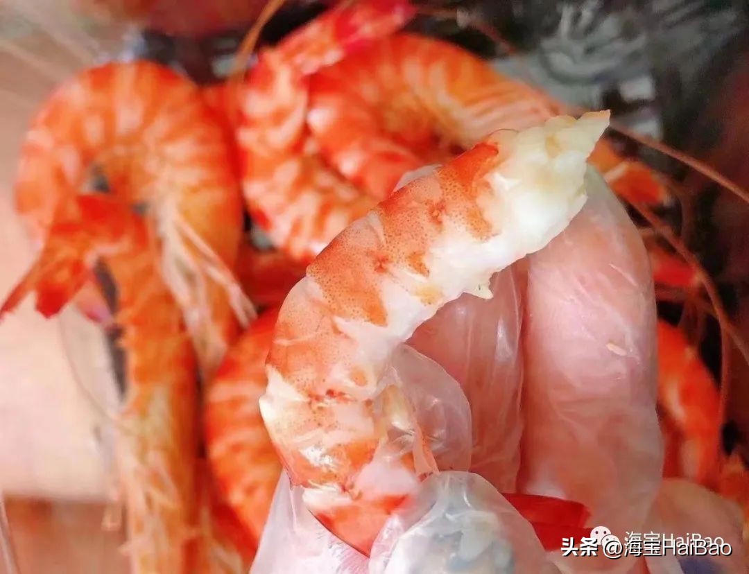 现在基围虾为什么冬天这么便宜,大连基围虾和四川的不一样