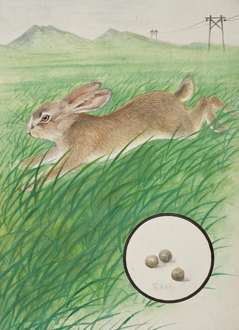 太原市迎泽区：区科技局联合区委宣传部、区科协和迎泽街道共同举办中草药图谱线上展览（动物篇）