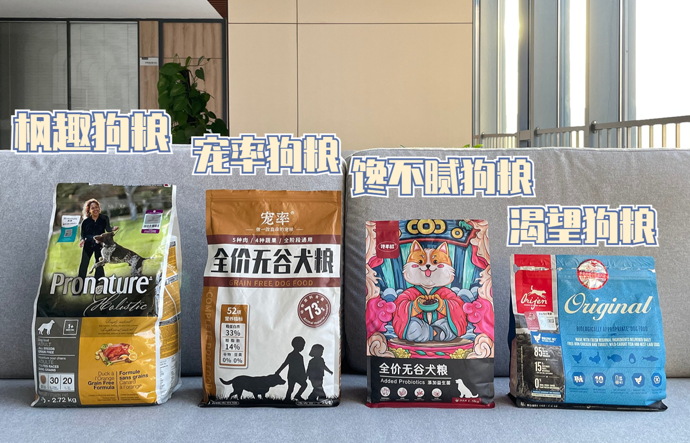 新手养什么狗最好养又听话又干净,新手最适合养的狗是什么狗