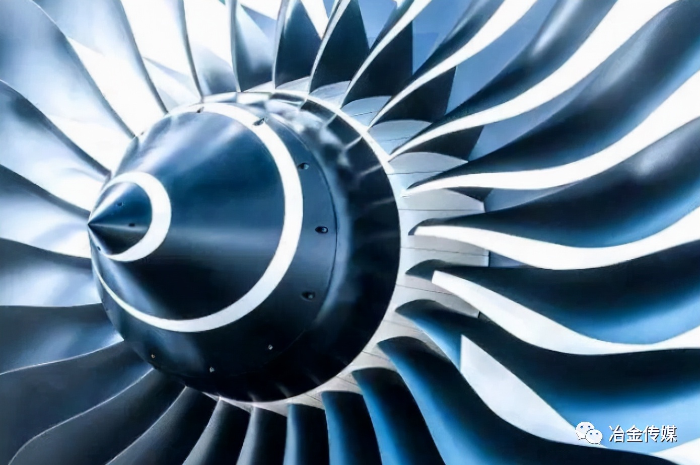 新金：夺取“新”材料领域“金”牌