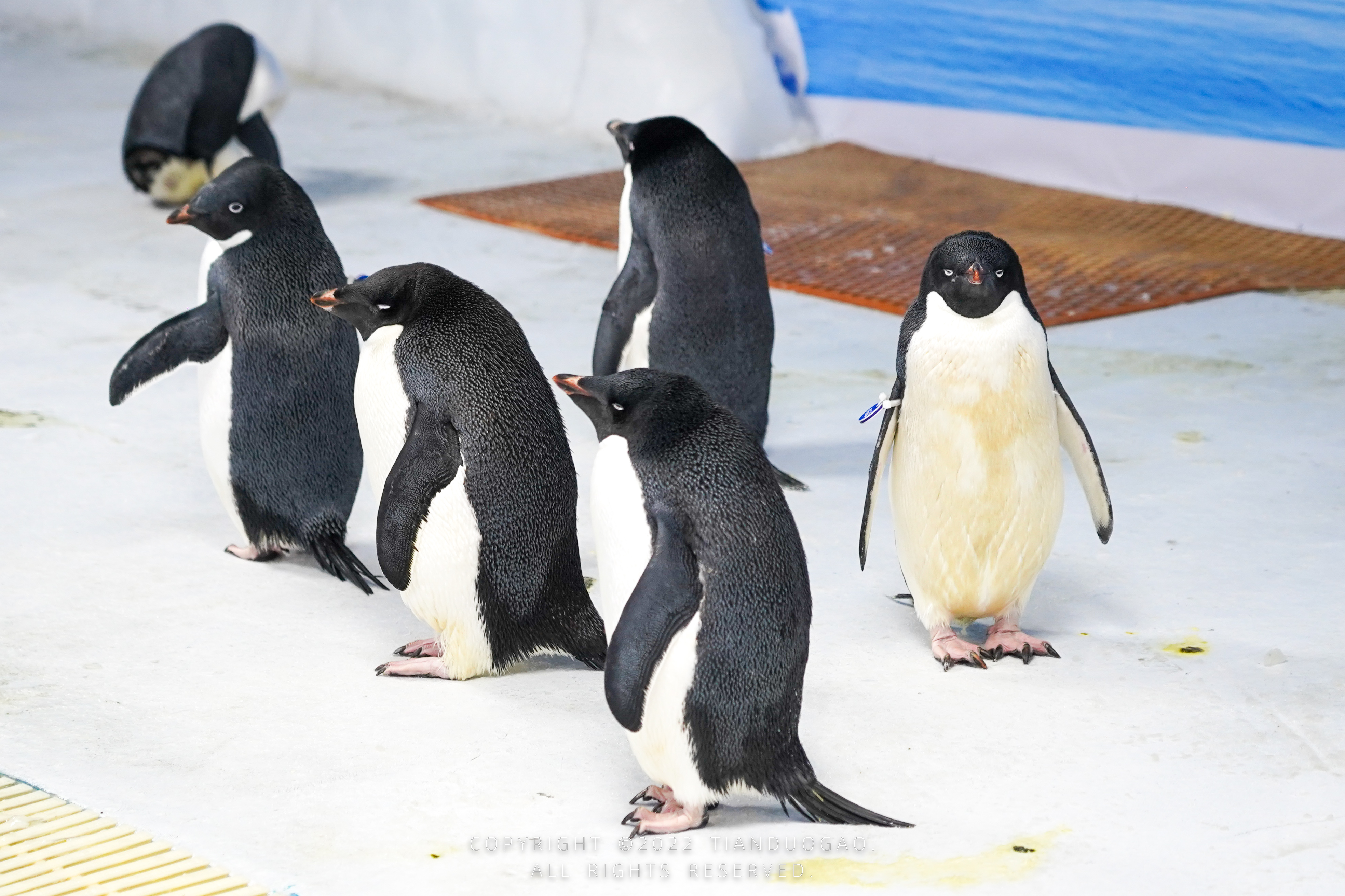 武汉气温超过40度的地方,武汉的夏天温差