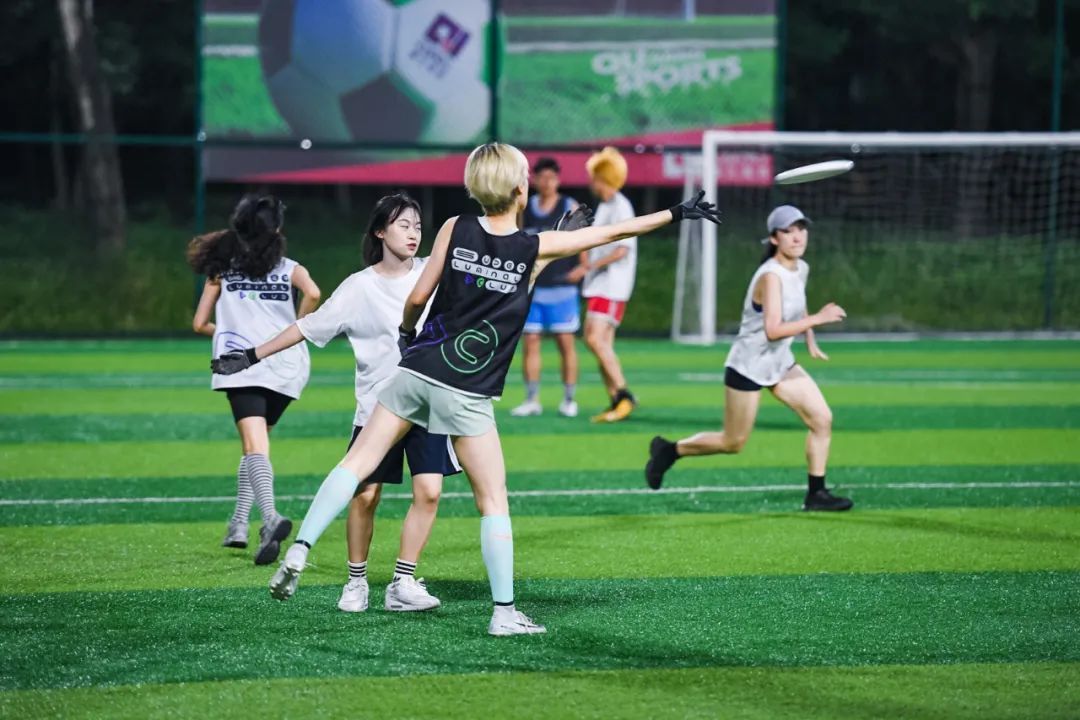 足球场和飞盘冲突,足球场禁止飞盘和狗入内