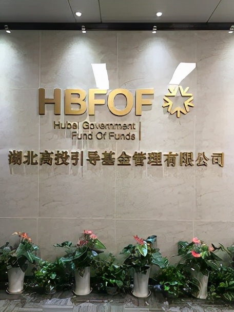 未知多焉知少系列——我国母基金舰队（二）