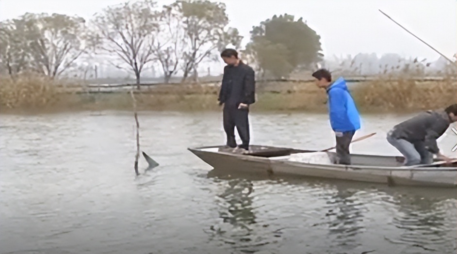 两只螃蟹拍卖出20万，农村大叔养出天价蟹，带动当地年收入20亿