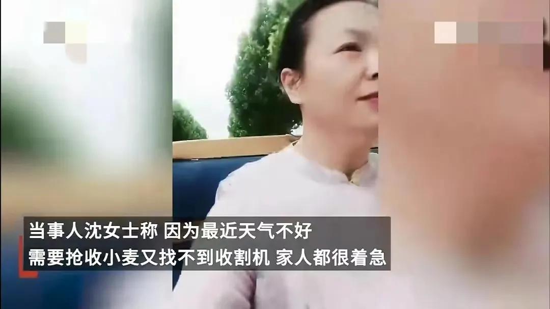 女子花11万买收割机收麦子,女子花11万给爸妈买收割机