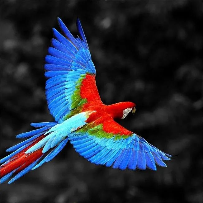 100幅经典摄影作品欣赏,100幅精品摄影图