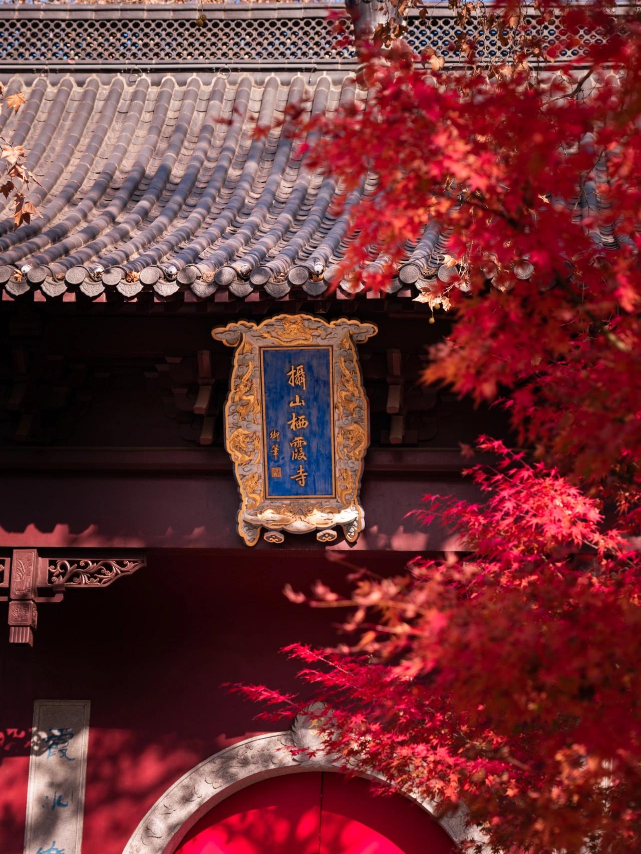 南京值得去的旅游景点推荐,南京必去玩的十大旅游景点