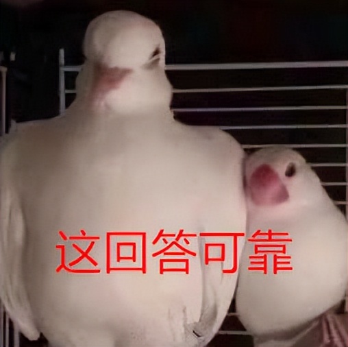 维a酸乳膏可以改善毛孔粗大吗,油皮毛孔粗大黑头多要怎么改善