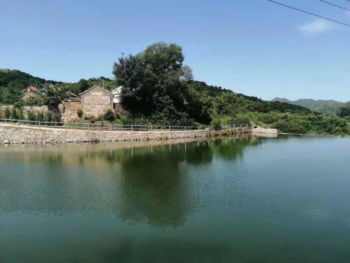 男子辞掉高管职位，携妻子在南京租了个院子：有能力赚钱更要幸福