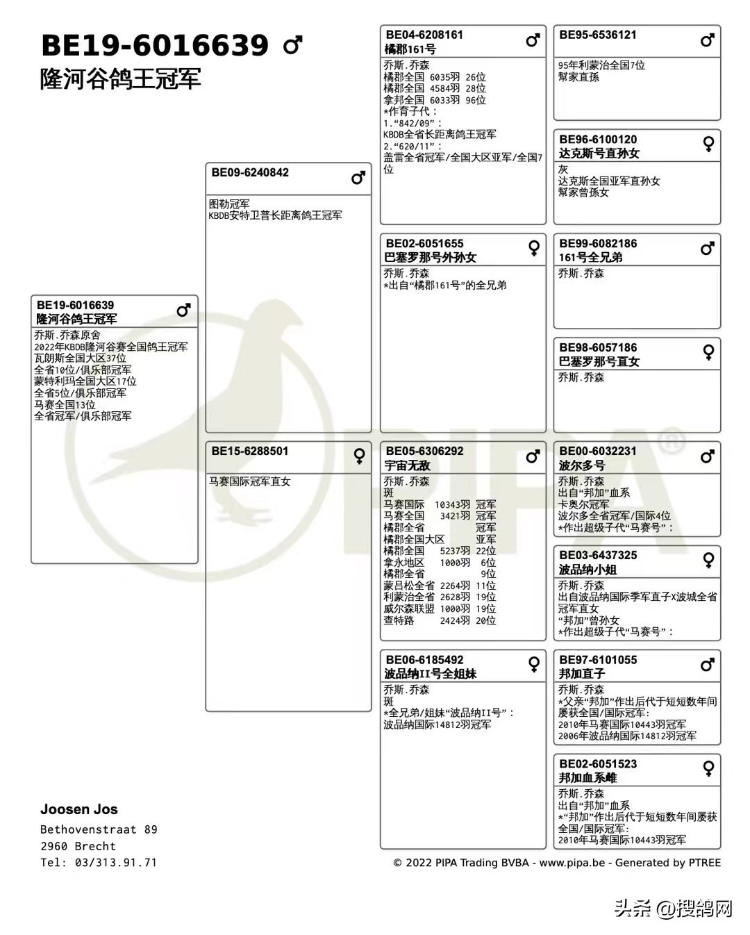 涔旀柉涔旀．楦界郴,涔旀柉涔旀．鍘熸绉嶉附
