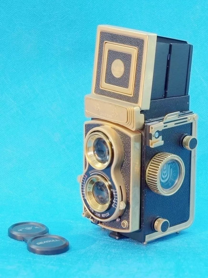 国产相机海鸥,国产海鸥数码单反相机