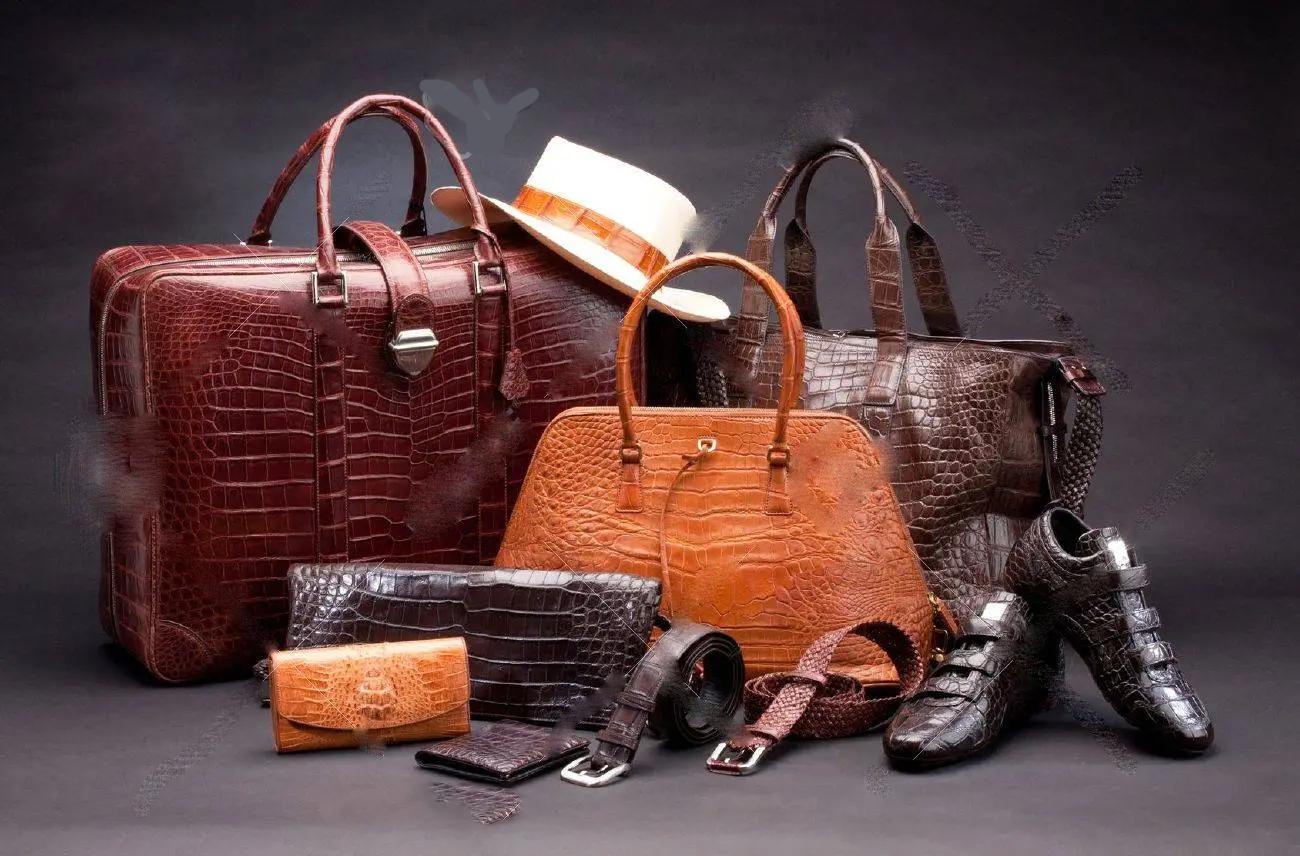 凶猛的鳄鱼居然这么可爱,又可爱又凶猛的鳄鱼