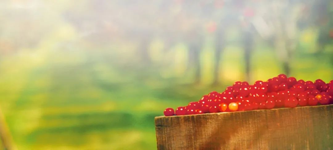 汤臣倍健和维诺健,汤臣倍健产品如何