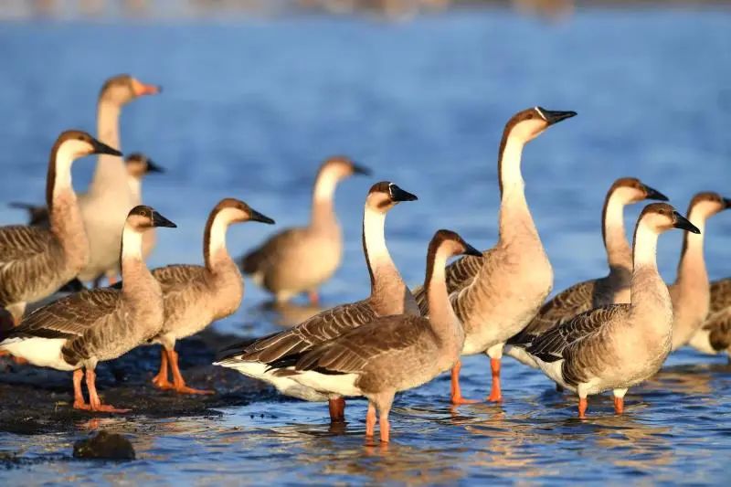 沈阳3天2夜游玩攻略,沈阳三日游攻略最新一期