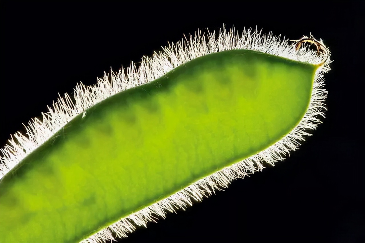 如何不用ps就让照片能眨眼睛,降低照片曝光ps