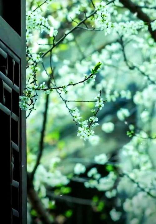 与春天有关的散文,散文感受春天